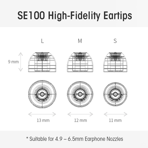 Shanling SE100 Eartips
